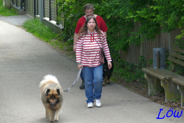 19.5.2024 Heimweg